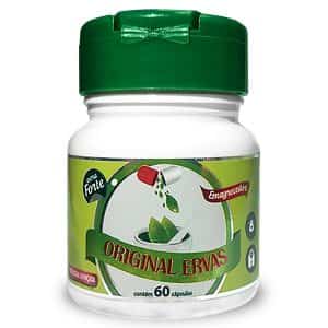 Original Ervas